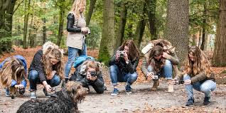 dierenfotografie cursus