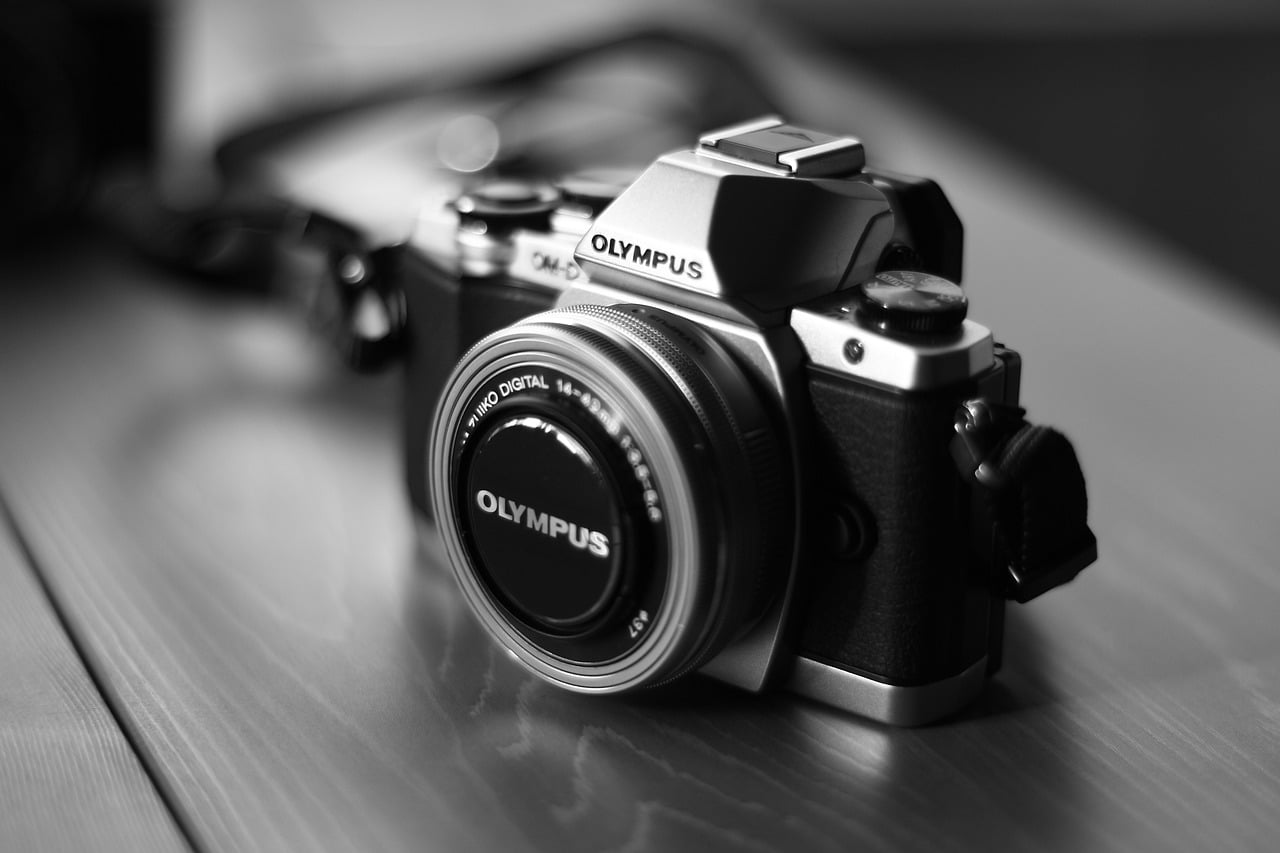 fotografie voor beginners cursus