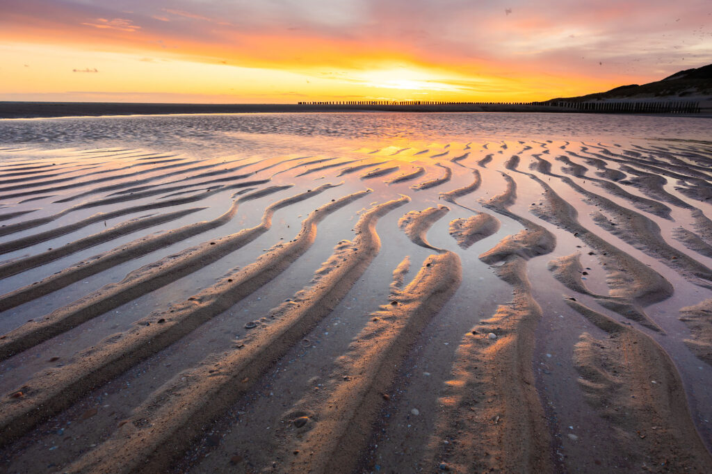 natuurfotografie cursus