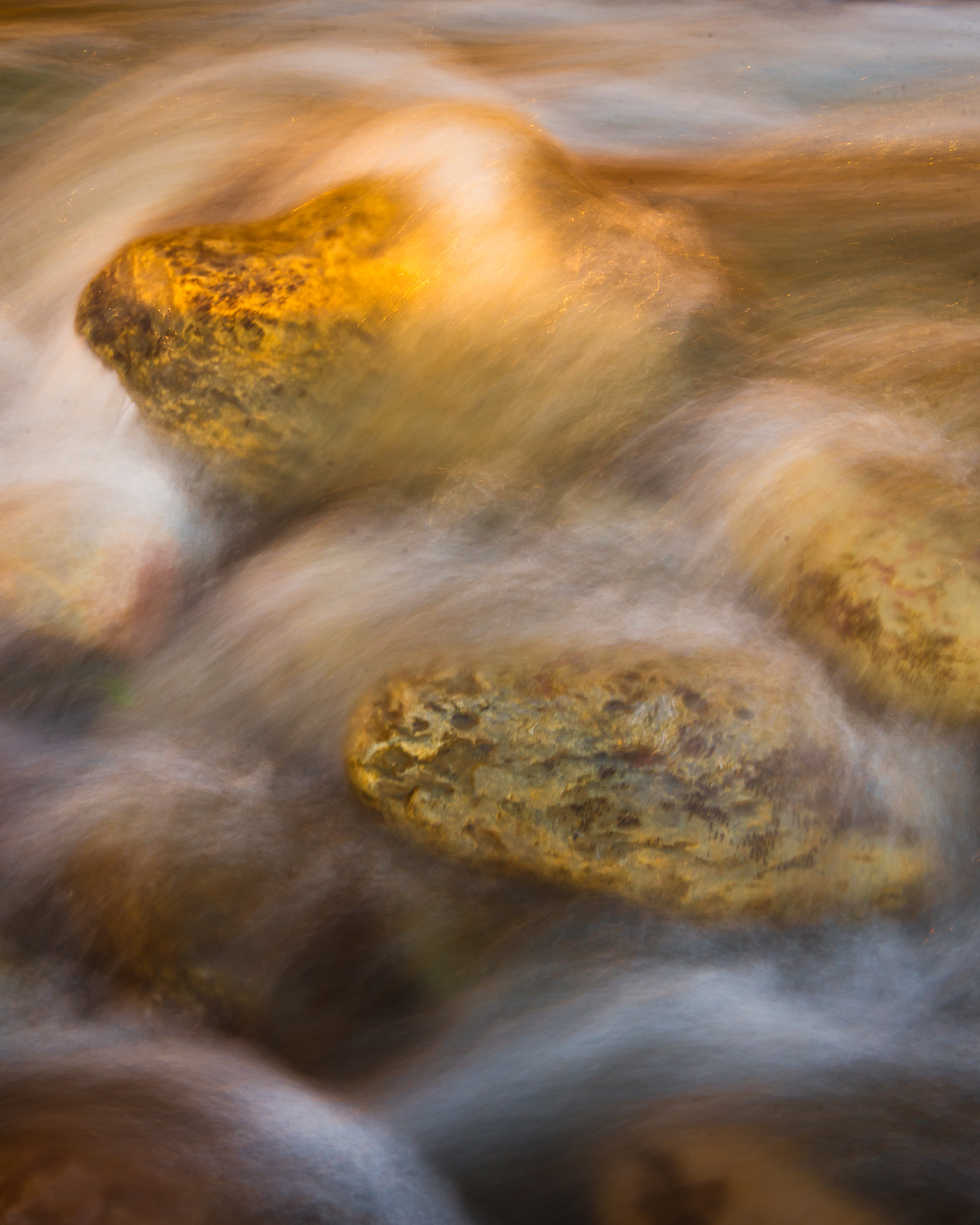 cursus natuurfotografie