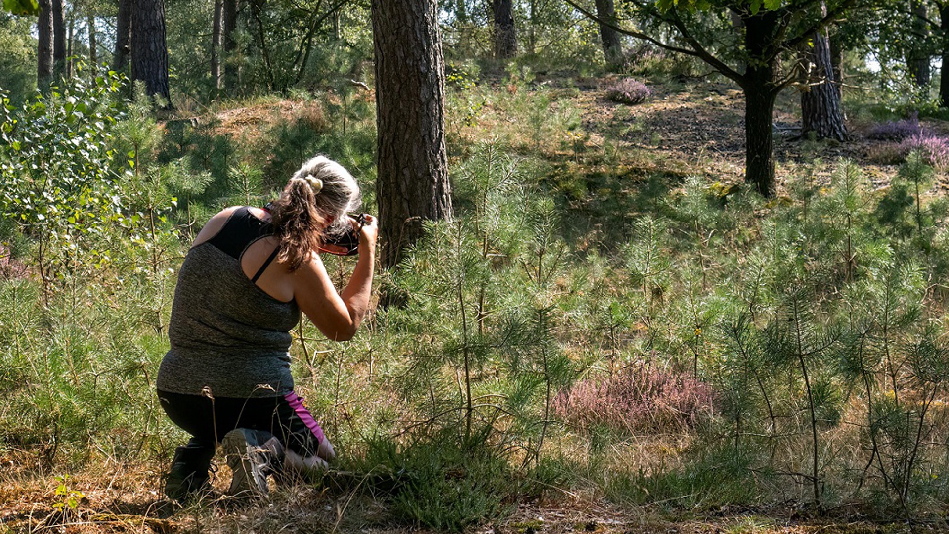 workshop fotografie voor beginners